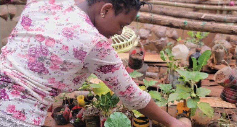 The Wishwall Foundation Delivers and accomplishes “The Sustainable Garden Project” to Feed 600 Children