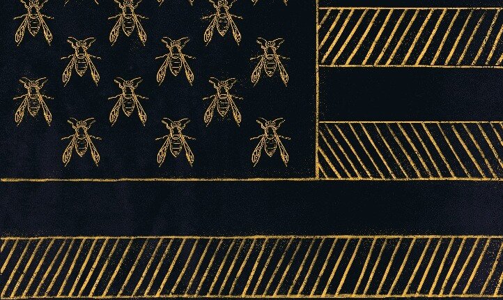 Hornet’s Nest – A Bold Female-Driven Crime Series by Lee Sato