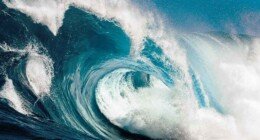 The Material Power of Immaterial Things By Howard Bloom